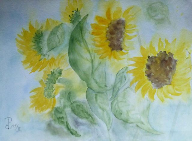 Sonnenblumen 01