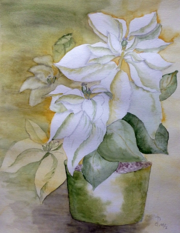 Blumen 2
